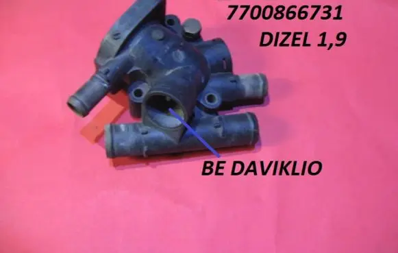 Thermostat/thermostat housing