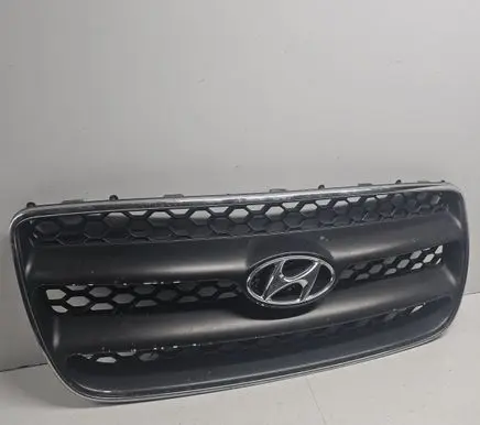 Hyundai Santa Fe Front grill E865612B000
