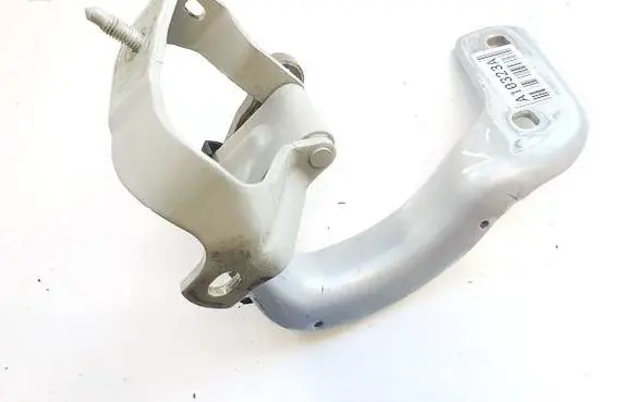Tailgate/trunk/boot hinge