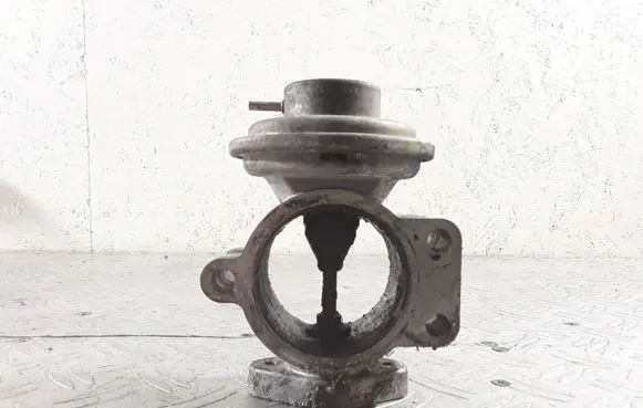 Toyota Land Cruiser (J120) EGR valve