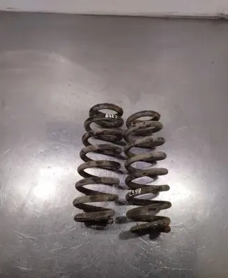 Suzuki Grand Vitara II Rear coil spring
