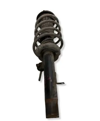 Peugeot 1007 Front shock absorber with coil spring 01C97019W M61JL5340
