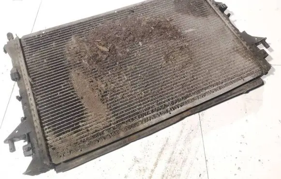 Renault Espace - Grand espace IV Coolant radiator 150720201e0