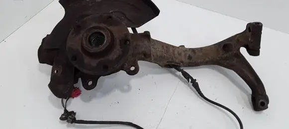 Volkswagen PASSAT B5.5 Front wheel hub spindle knuckle