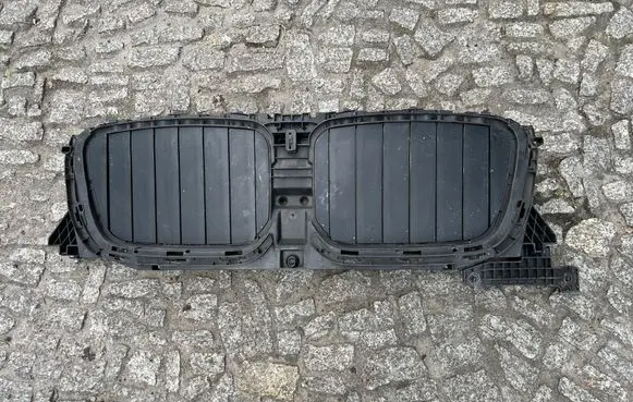 BMW X3 G01 Front bumper upper radiator grill 5A1DA48