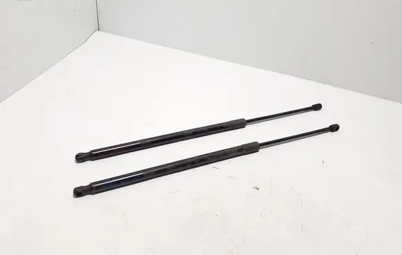 Ford Mach-E I Tailgate strut LJ8BR406A10AD