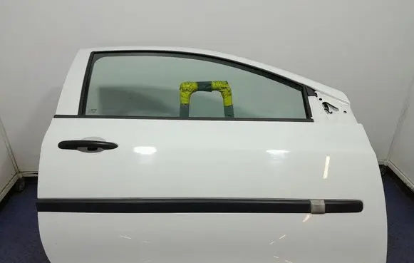 Renault Clio III Front door 