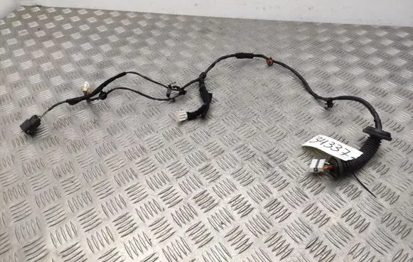 Hyundai i20 (GB IB) Rear door wiring loom