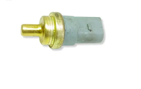 Volkswagen PASSAT B6 Coolant temperature sensor 1009190032