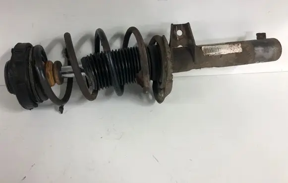 Volkswagen Jetta V Front shock absorber with coil spring 1K0400039