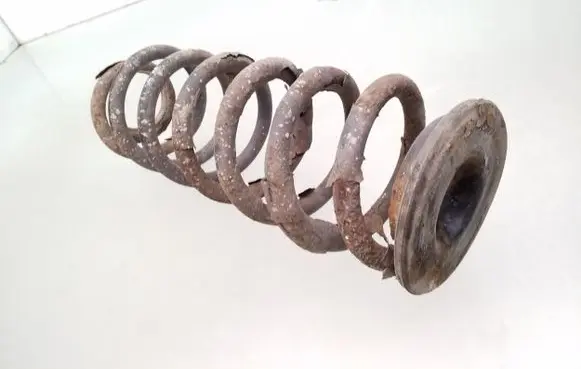 Volkswagen PASSAT B6 Rear coil spring