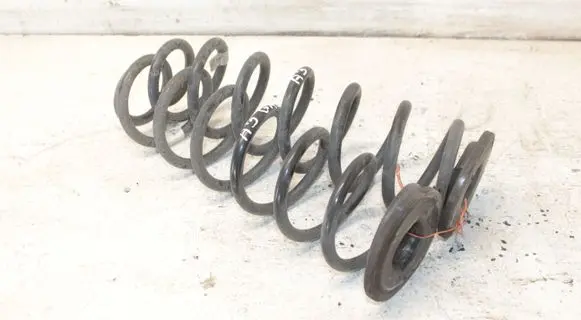 Rear coil spring
