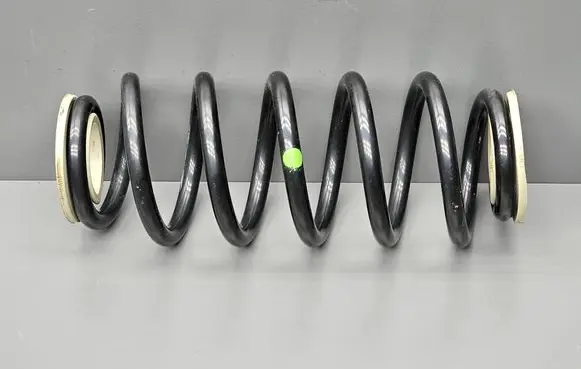 Smart ForTwo II Rear coil spring A4513240284 a4513240284