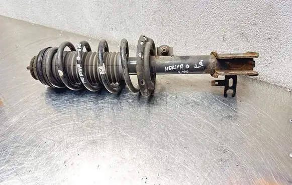 Opel Meriva B Front shock absorber with coil spring 22250036 368135153 13268958
