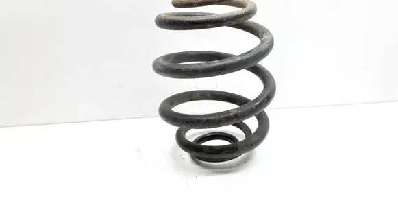Rear coil spring