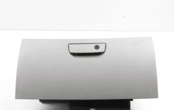 Dodge Magnum Glove box 48876A