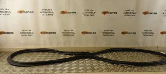 Citroen C4 X Rear door rubber seal (on body)