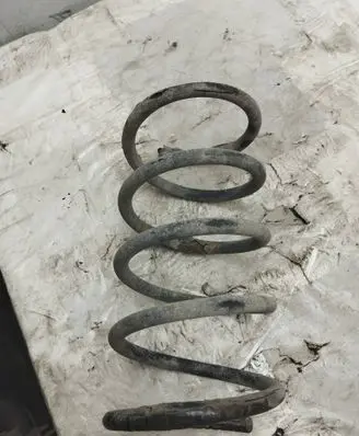 Rear coil spring