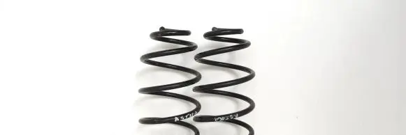 Opel Astra G Rear coil spring 1000856528