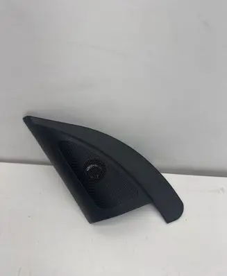 Front door high frequency speaker