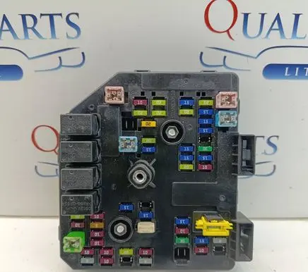 Chevrolet Captiva Fuse module 95202005