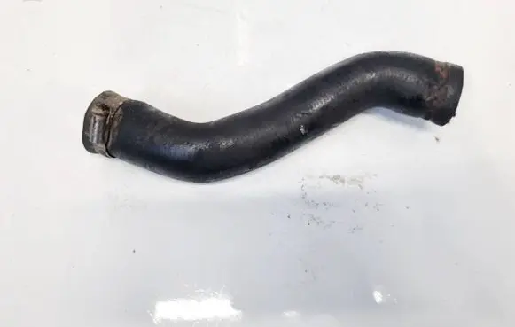 Nissan Almera Tino Engine coolant pipe/hose