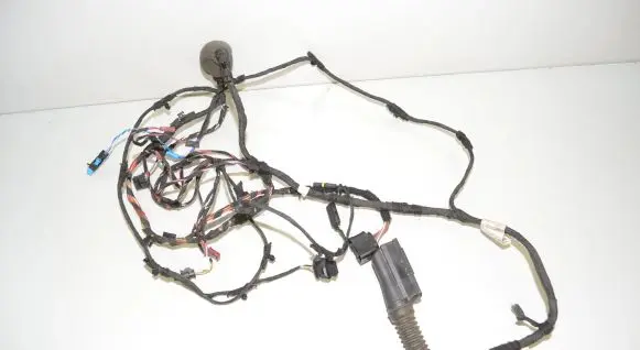 BMW X3 G01 Front door wiring loom 8792847
