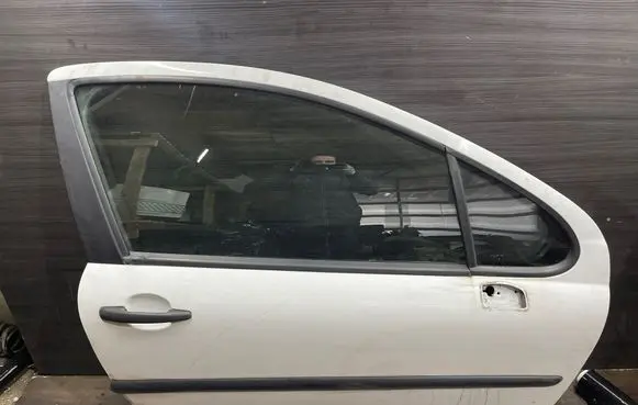 Peugeot 207 Front door 