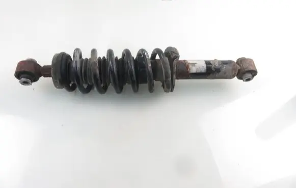 Citroen C5 Rear shock absorber with coil spring 