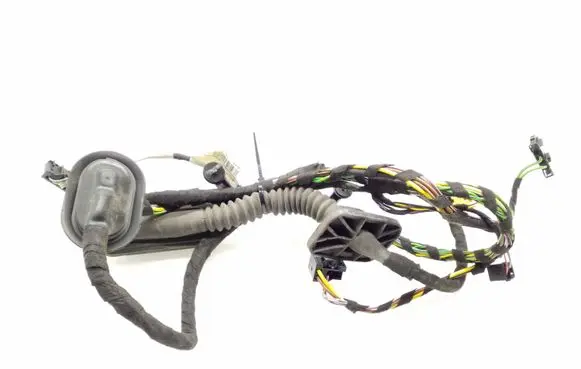 Front door wiring loom