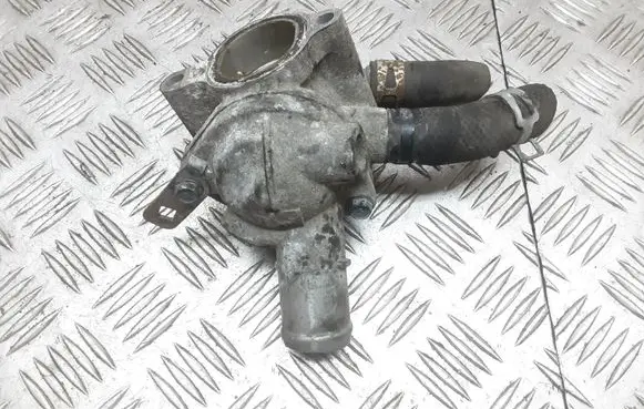 Thermostat/thermostat housing