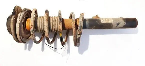 Peugeot 206 Front shock absorber/damper 313034 131500313034
