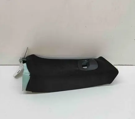 Tesla Model S (B) pillar trim (top) 102161306B