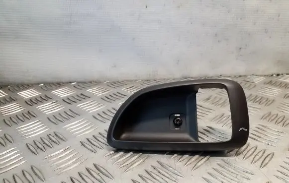 Other rear door trim element
