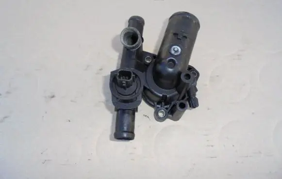 Thermostat/thermostat housing