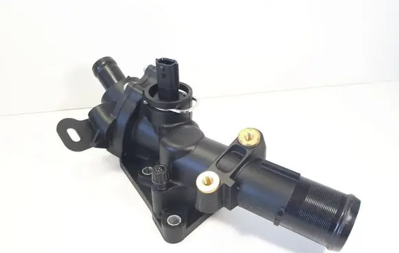 Nissan Qashqai Thermostat 110602770R