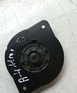 Panel speaker