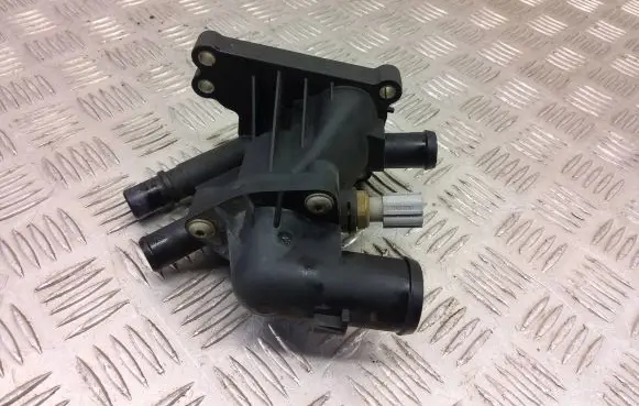 Thermostat/thermostat housing