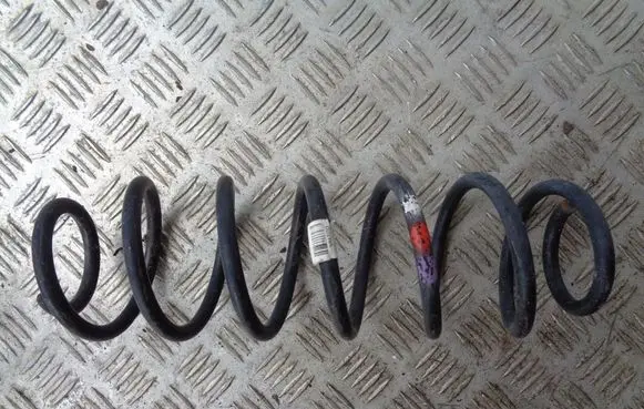 Rear coil spring