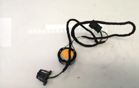 Front door high frequency speaker