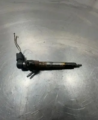 Renault Scenic III - Grand scenic III Fuel injector H8201100113 166006212R