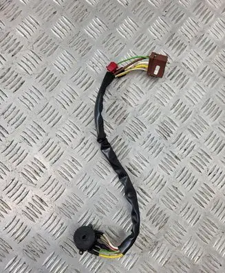Ignition lock cable