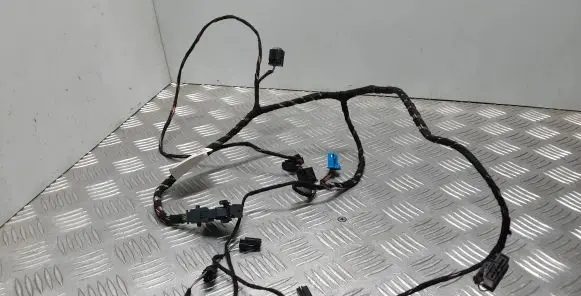 Volvo XC40 Other wiring loom 31497507