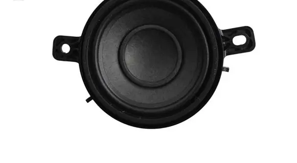 Panel speaker