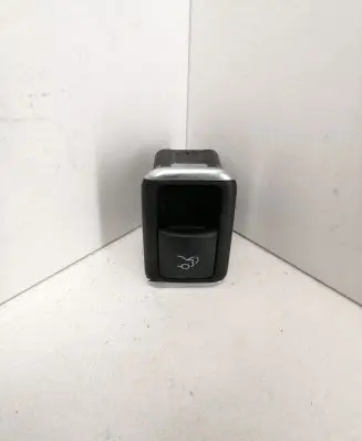 Tesla Model S Tailgate opening switch 10075083