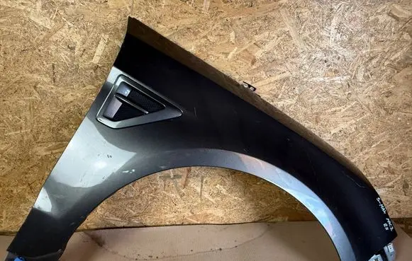 Ford S-MAX Fender EM2BR16072AA