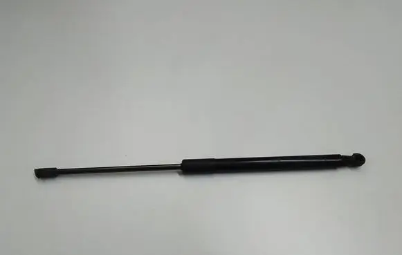 Tailgate strut