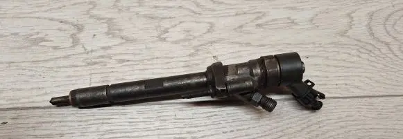 Citroen C8 Fuel injector 0445110036