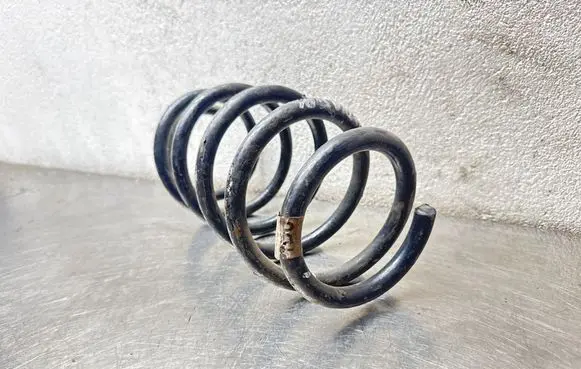 Opel Sintra Rear coil spring 22132423 2132422