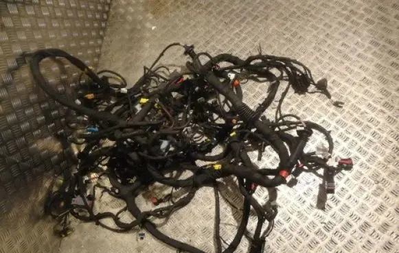 Ferrari 458 Wiring harness 273683